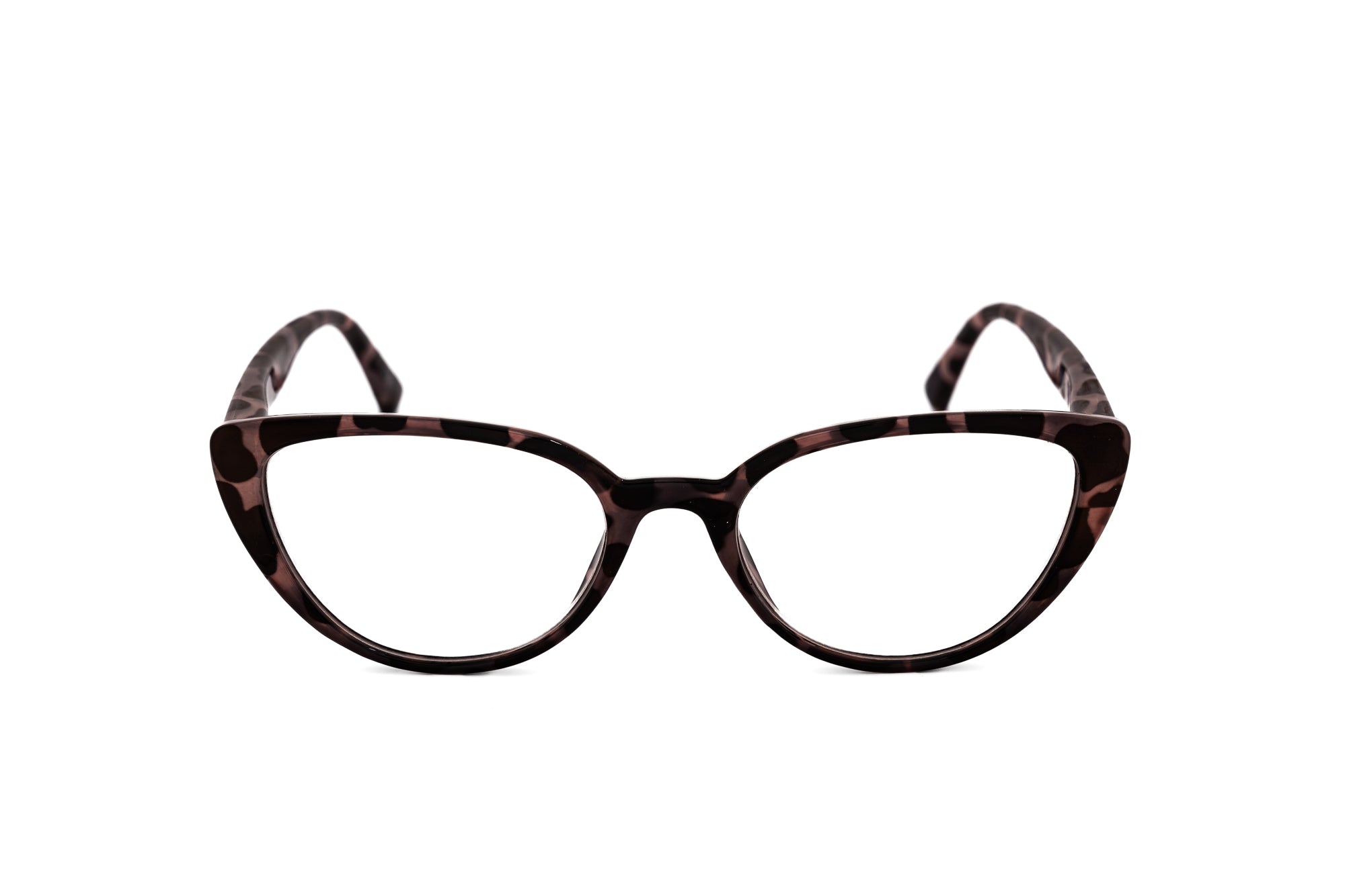 Tortoise Black Spot