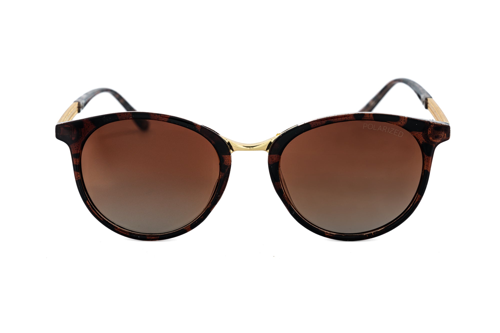 Tortoise / Brown