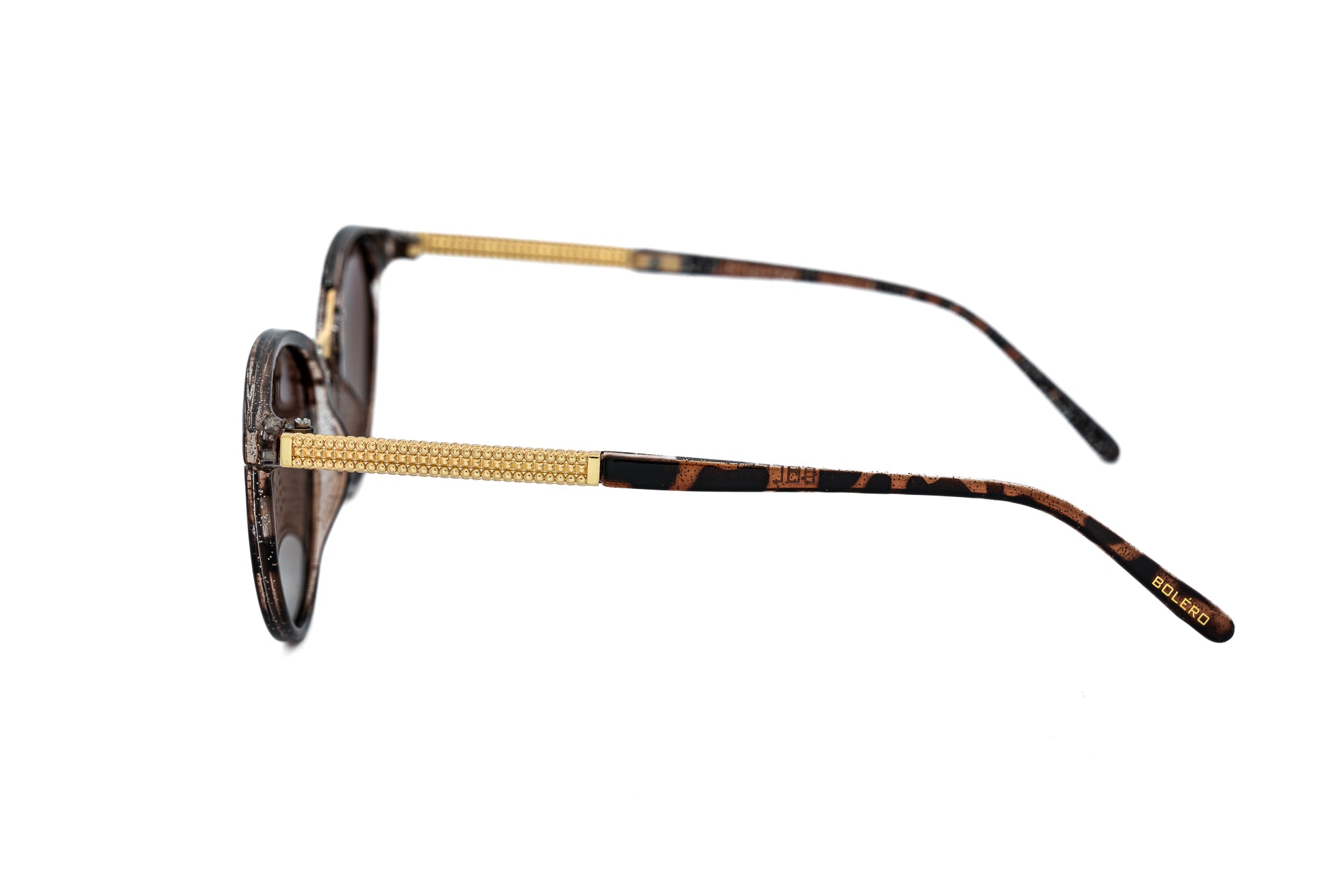 Tortoise / Brown
