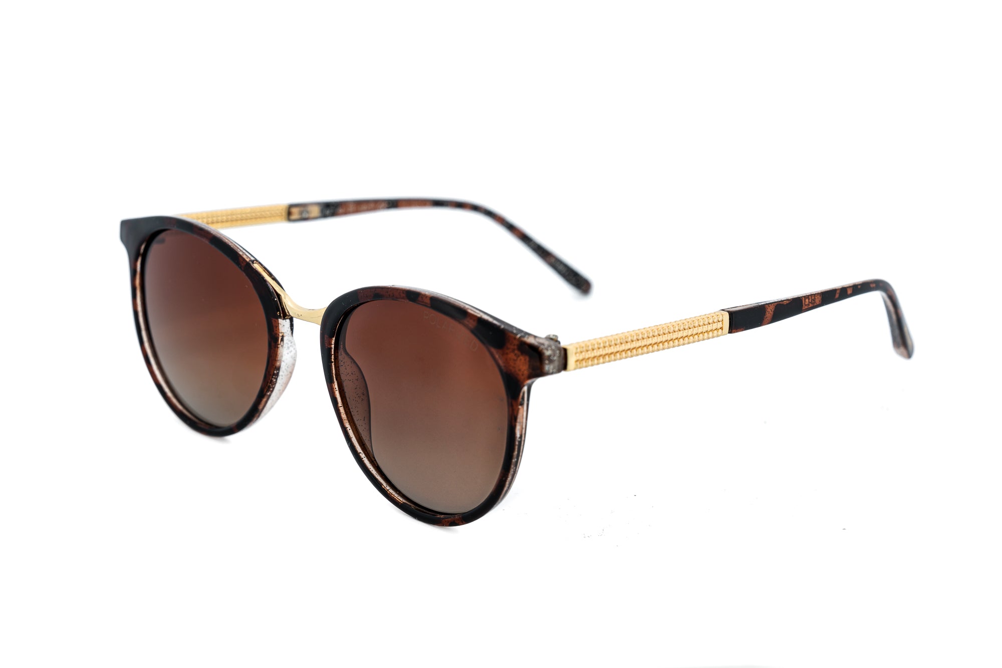 Tortoise / Brown