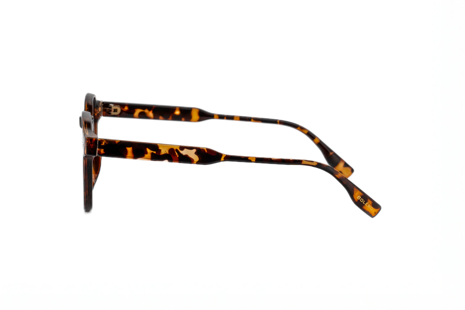 Tortoise / Dark Brown