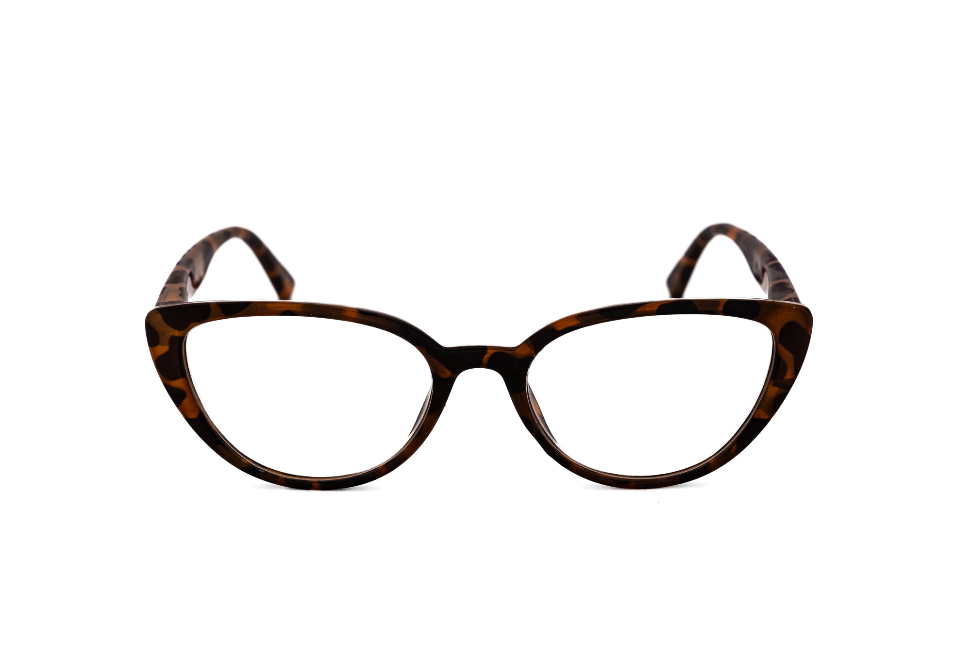 Tortoise Brown