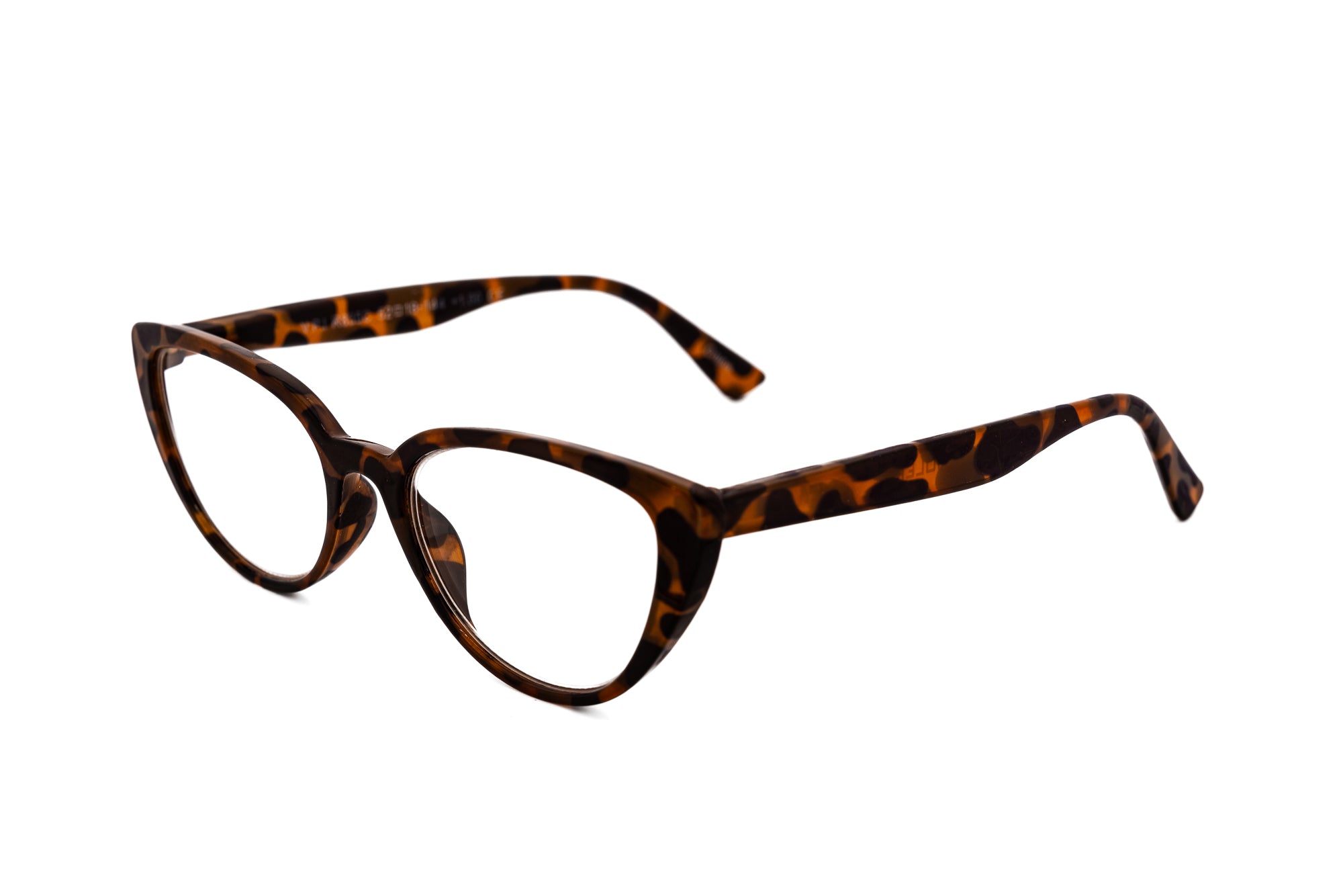 Tortoise Brown