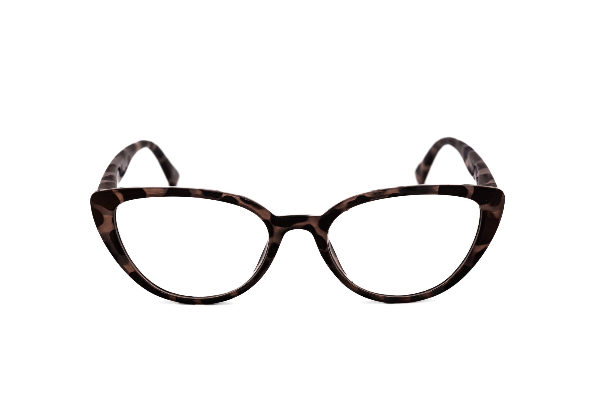 Tortoise Purple Spot