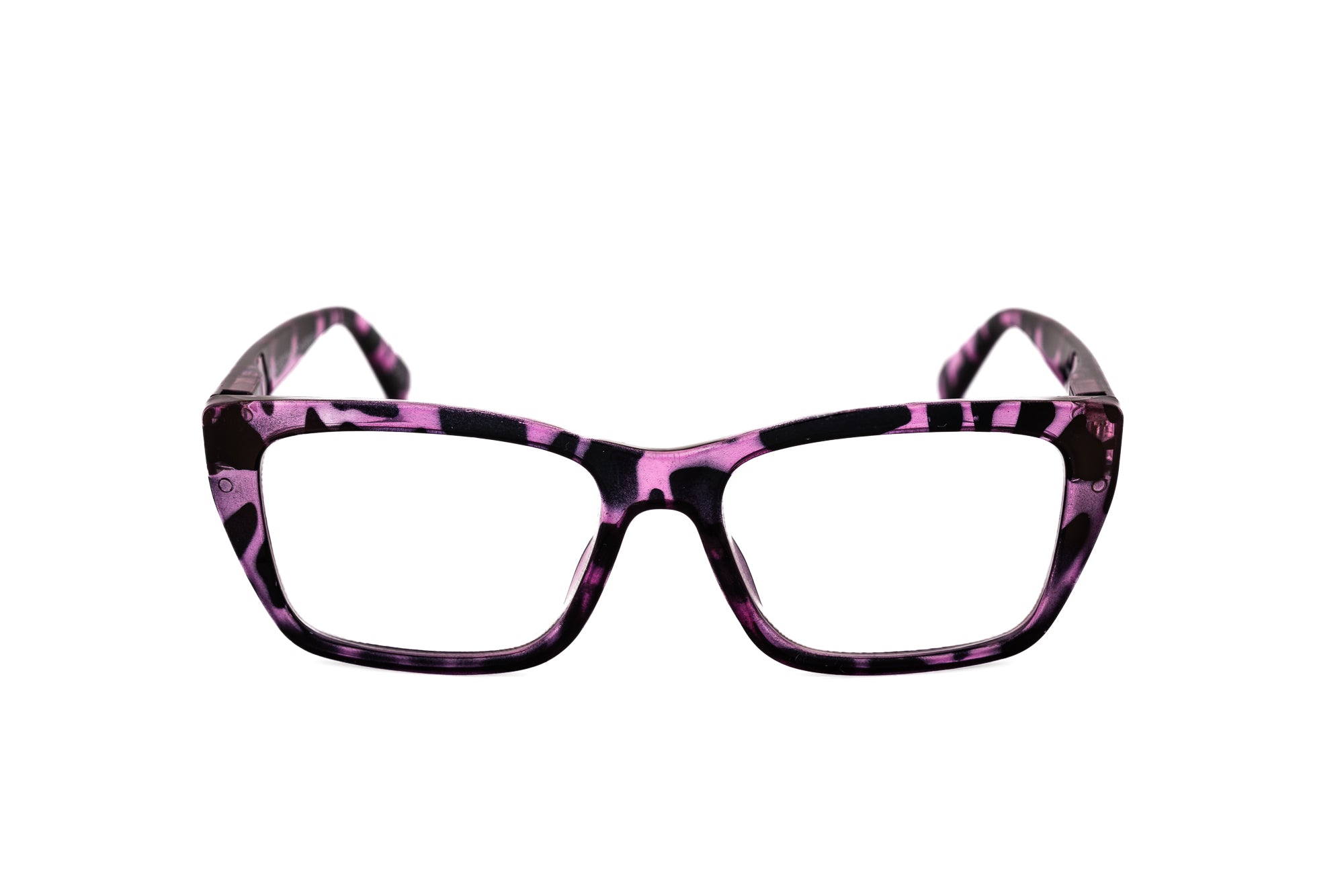 Purple Tortoise