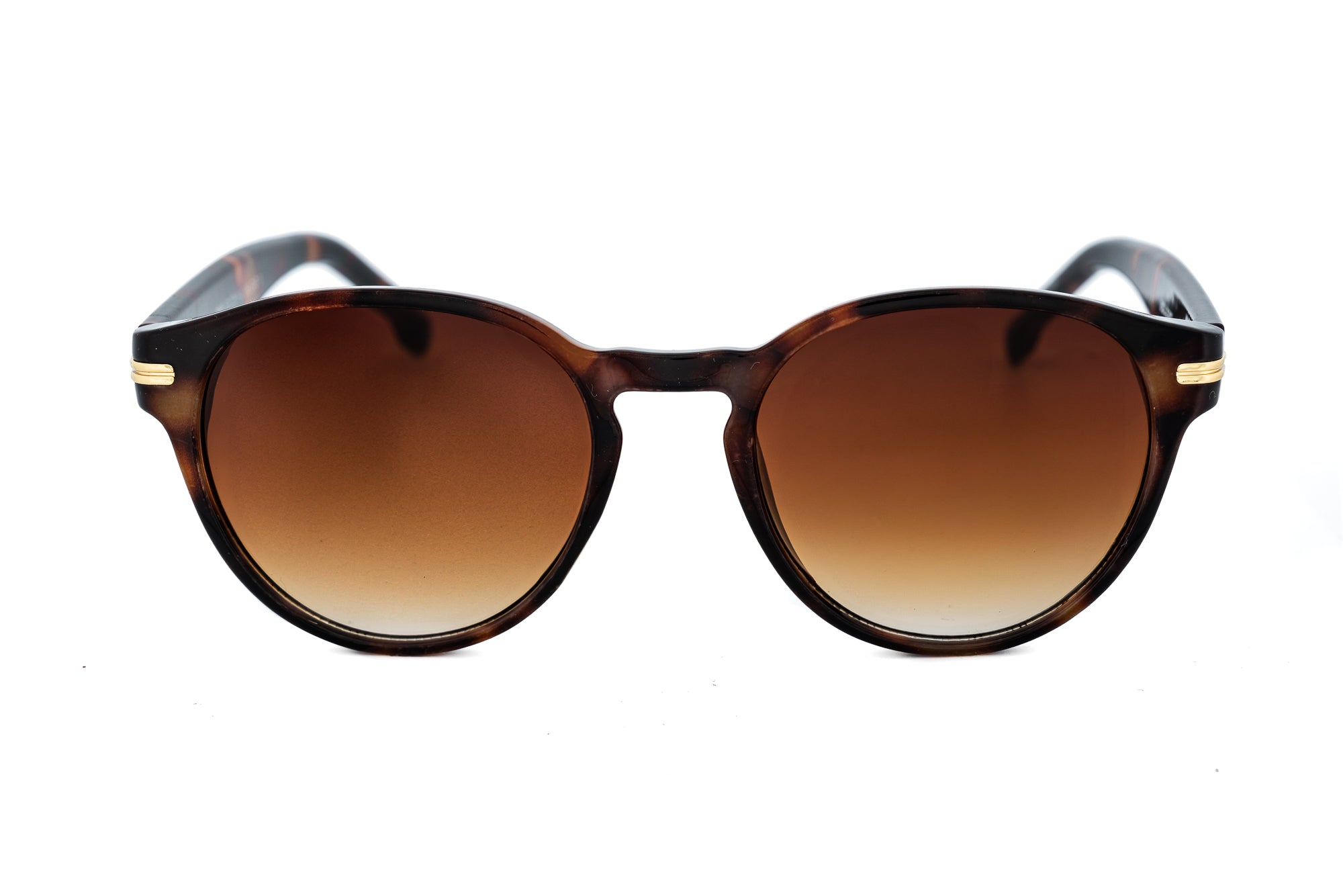 Tortoise / Brown