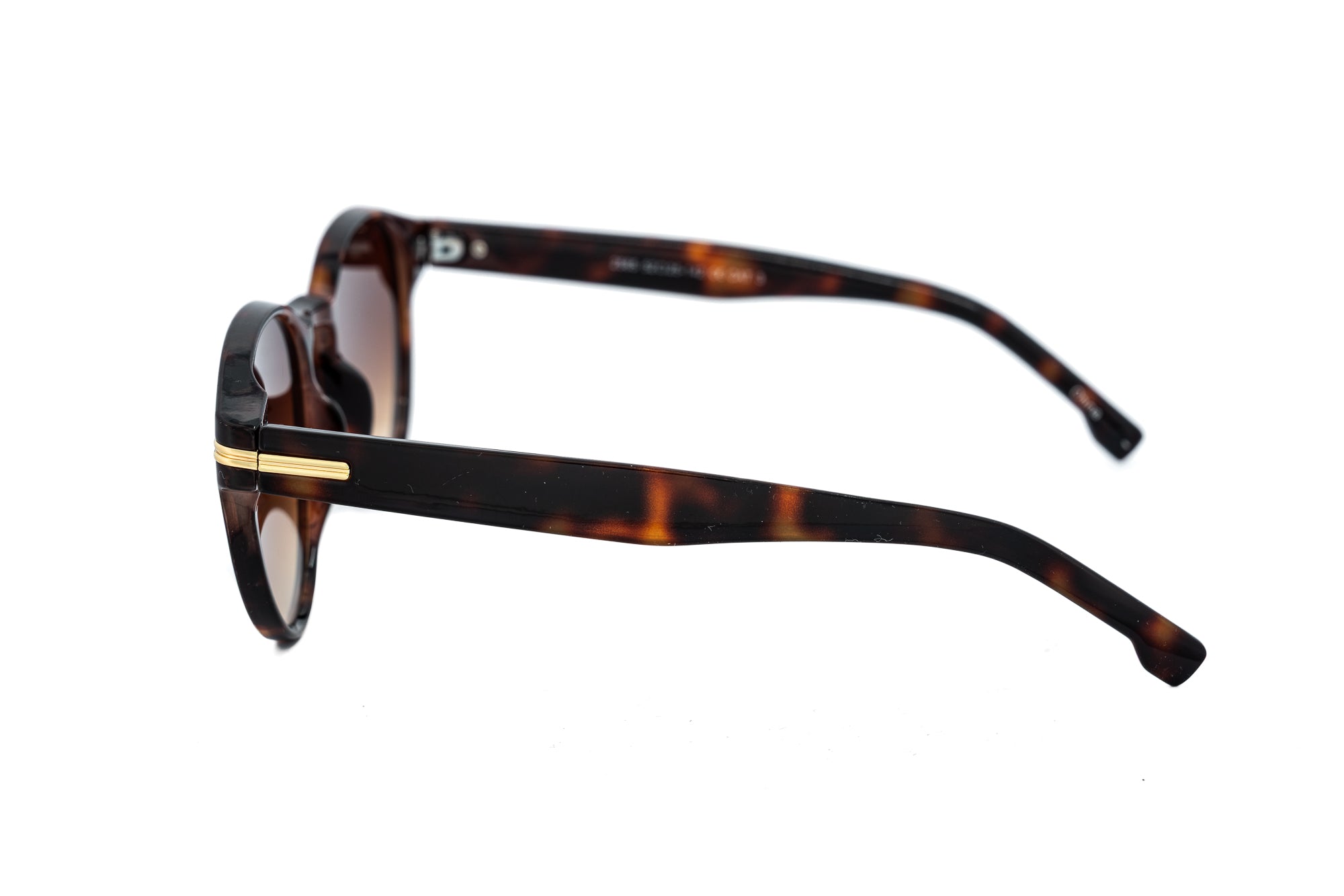 Tortoise / Brown