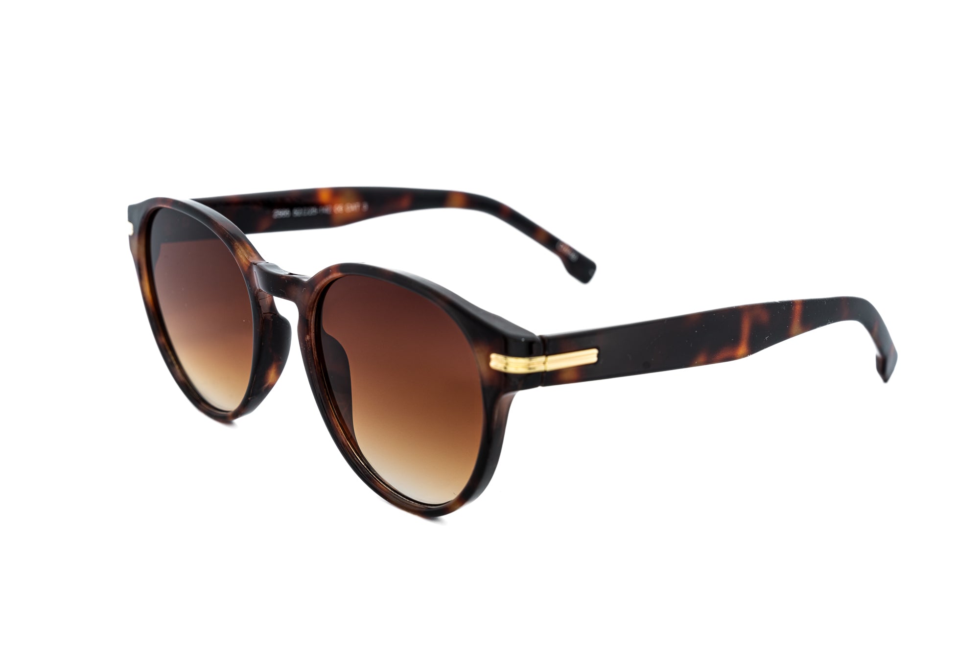 Tortoise / Brown