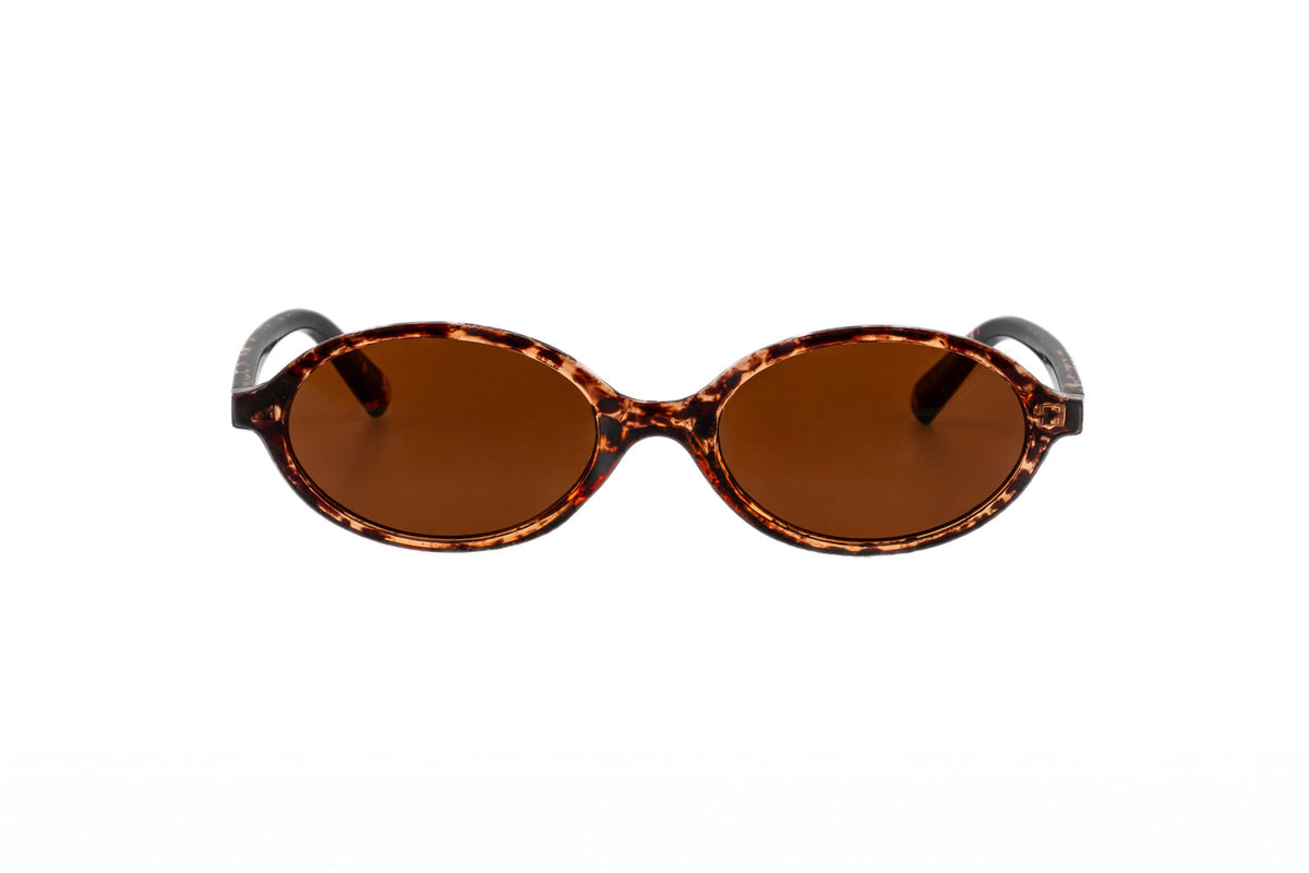 Amber Tortoise