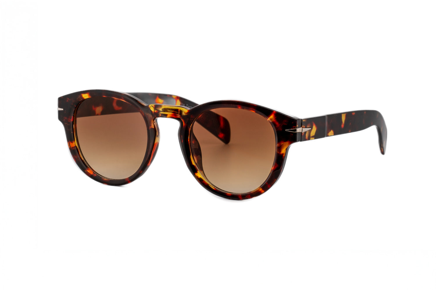 Tortoise / Brown