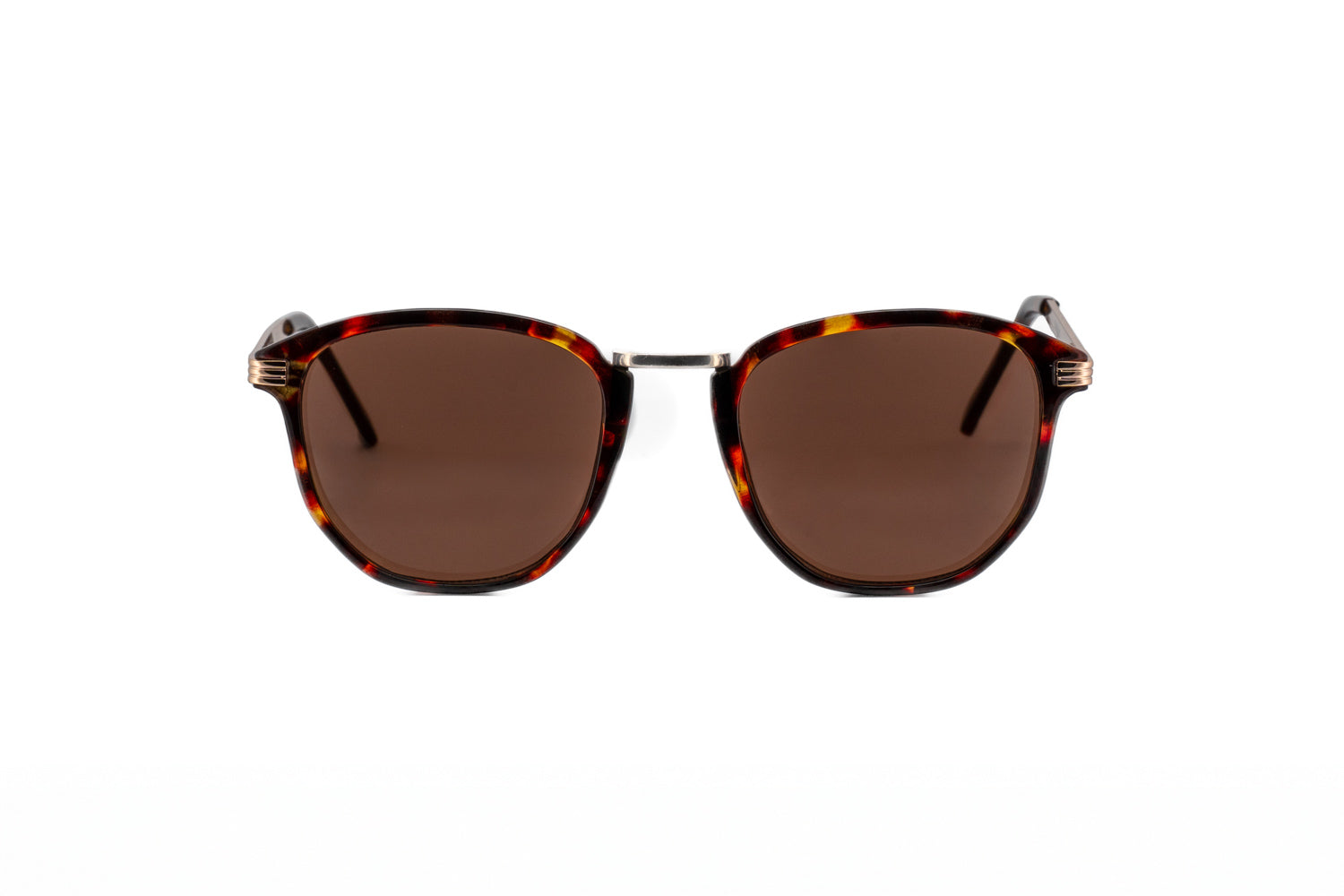 Tortoise / Brown