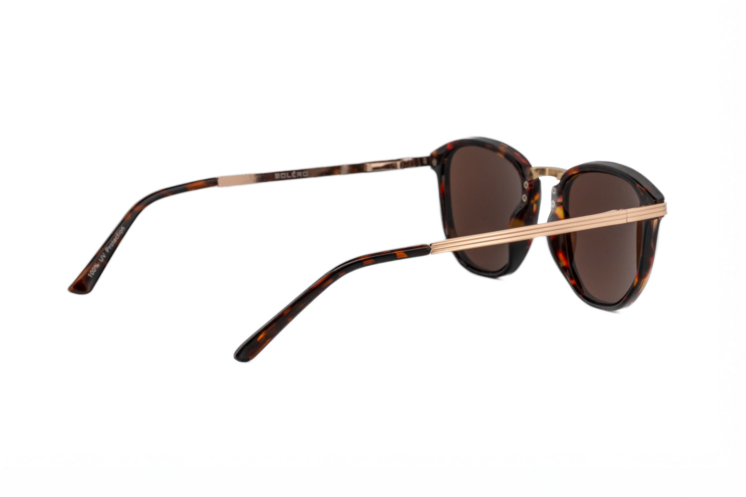 Tortoise / Brown