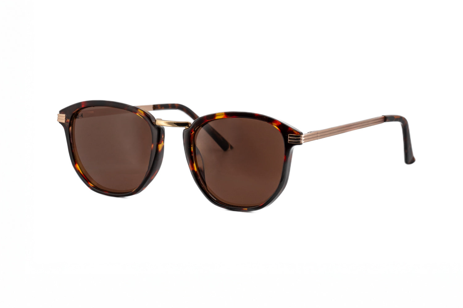 Tortoise / Brown