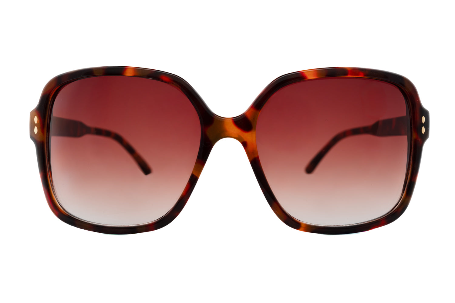 Tortoise / Black