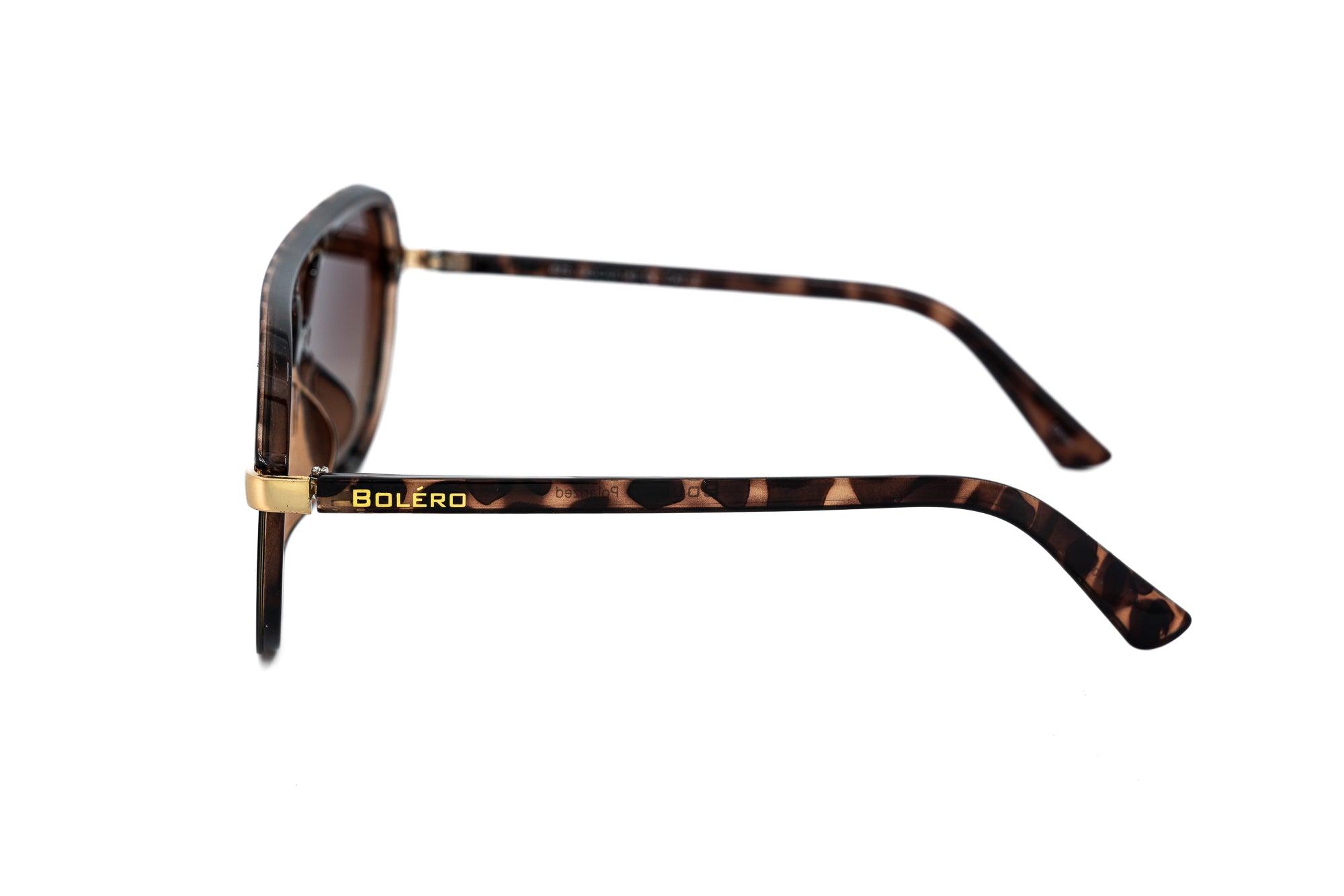 Tortoise / Brown