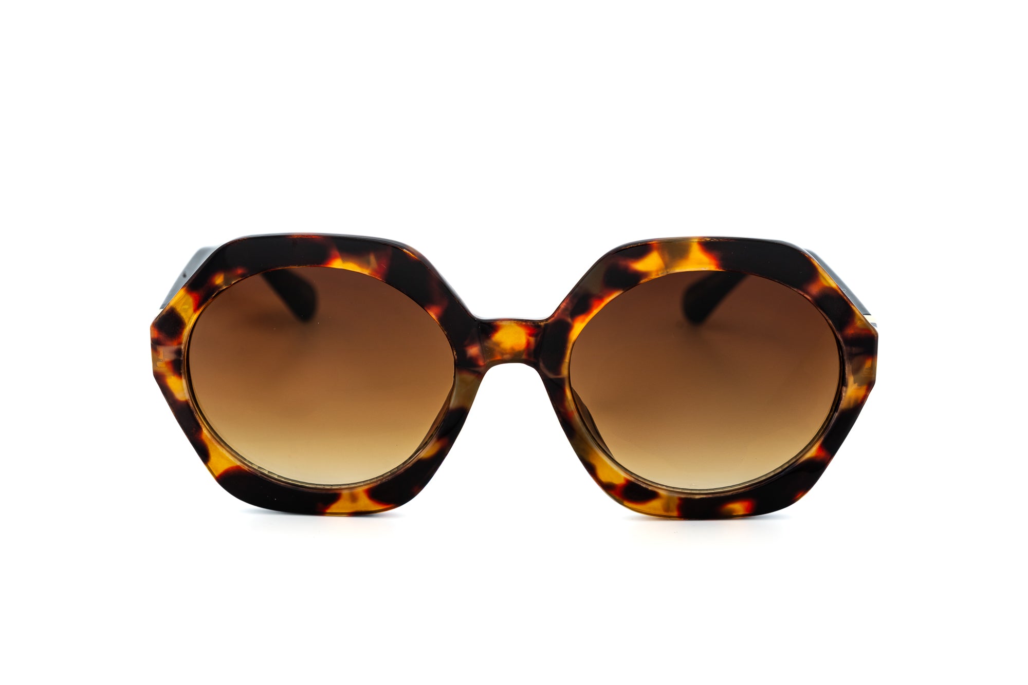Tortoise / Brown