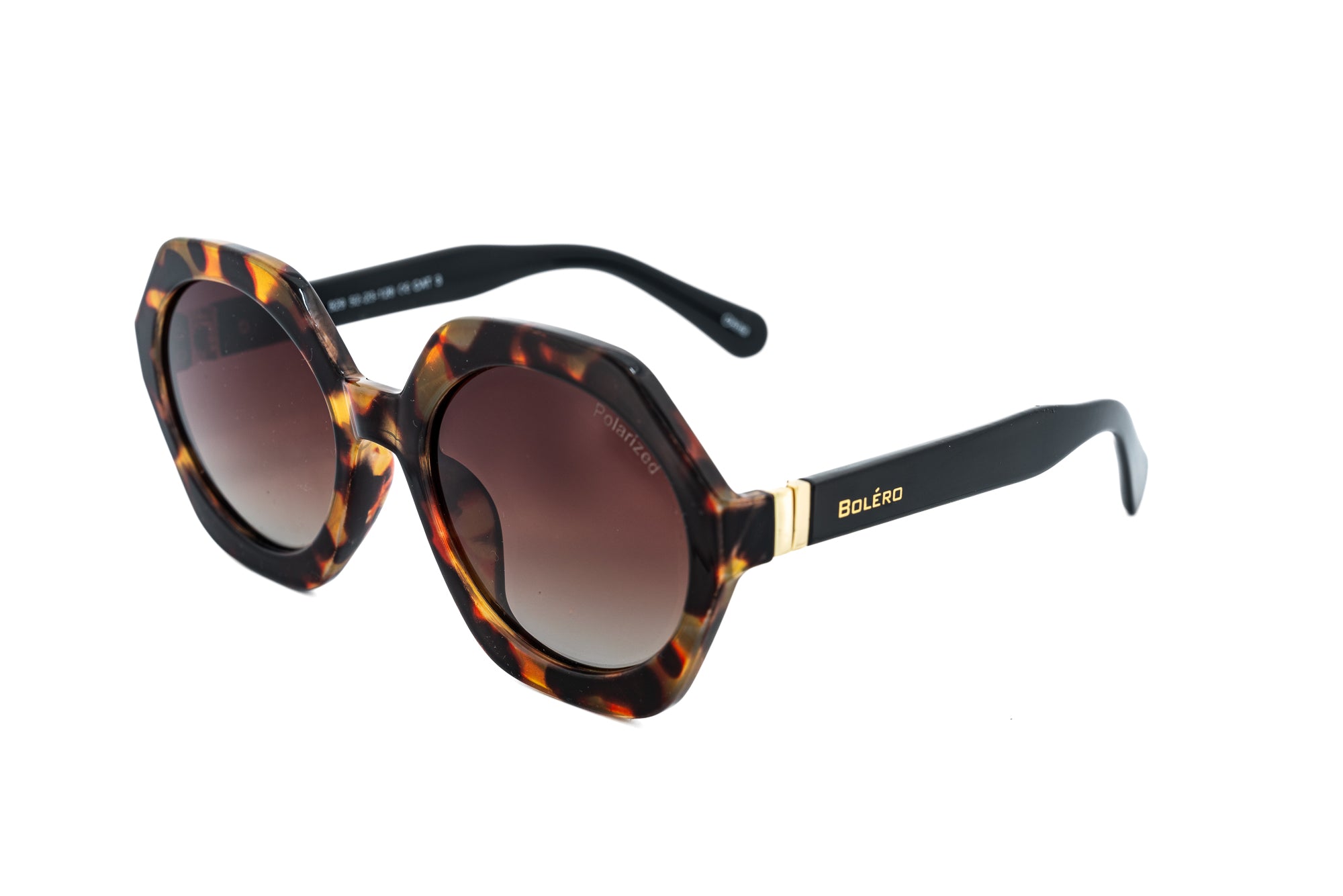 Polarized Tortoise / Brown