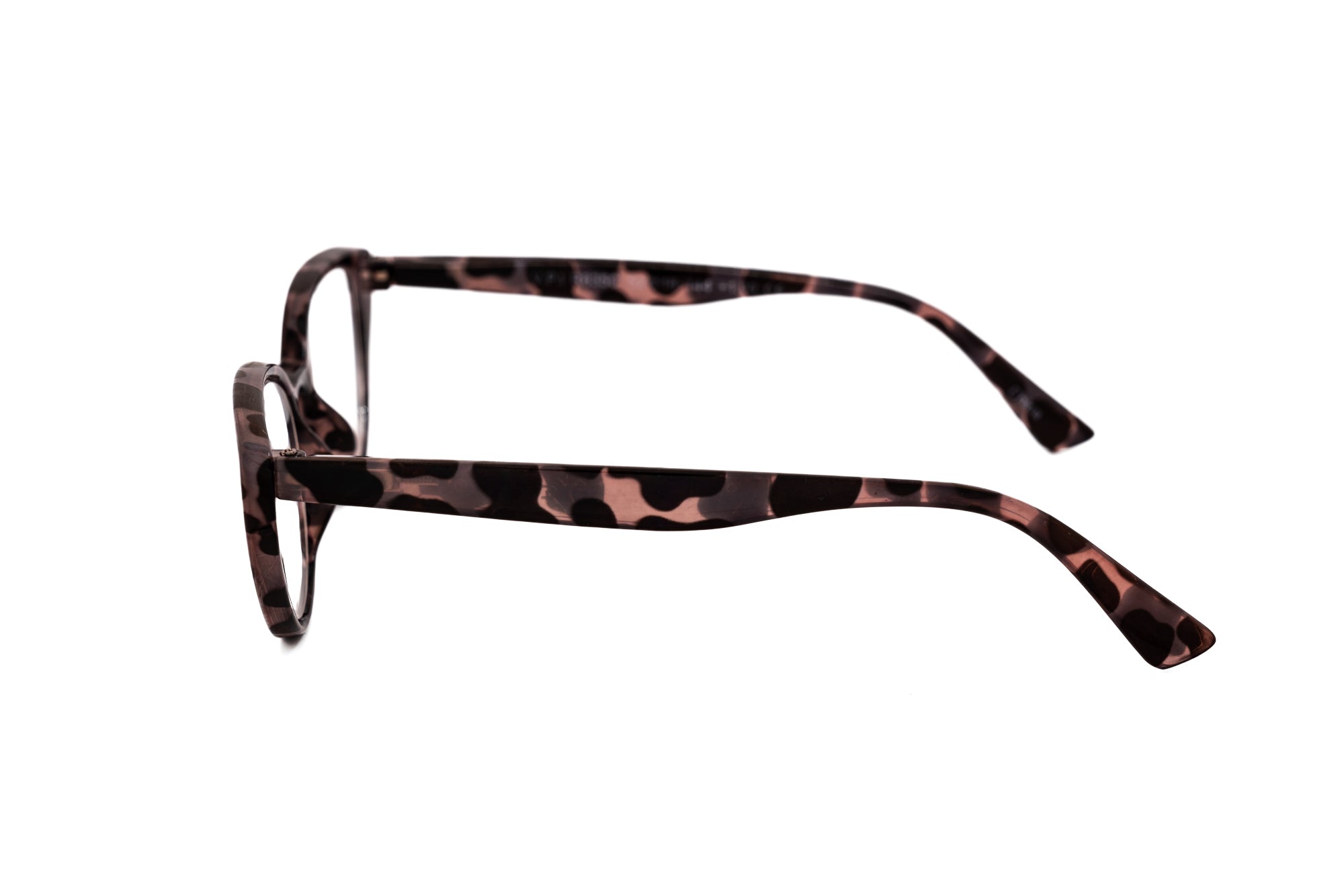 Tortoise Black Spot