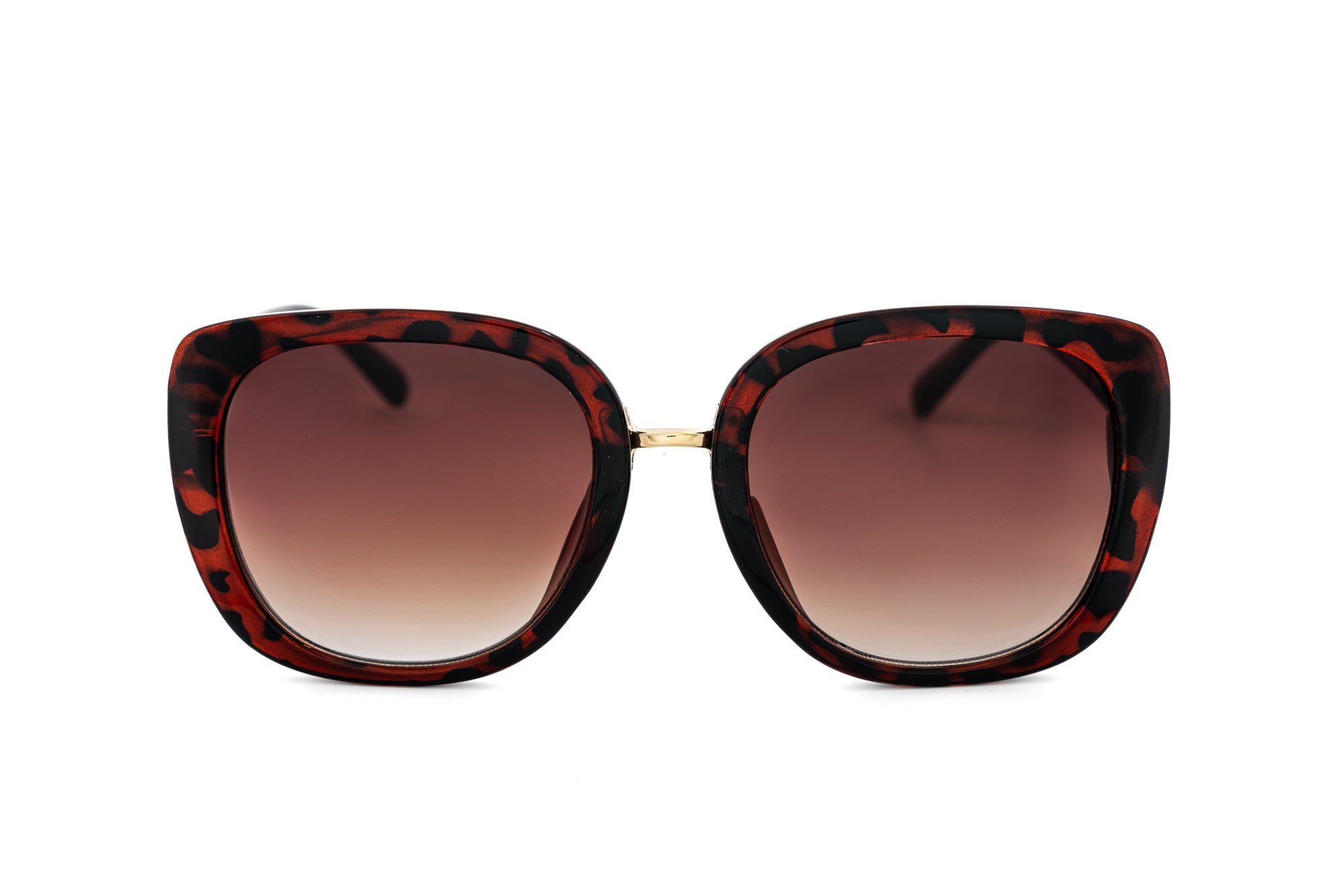 Tortoise / Brown