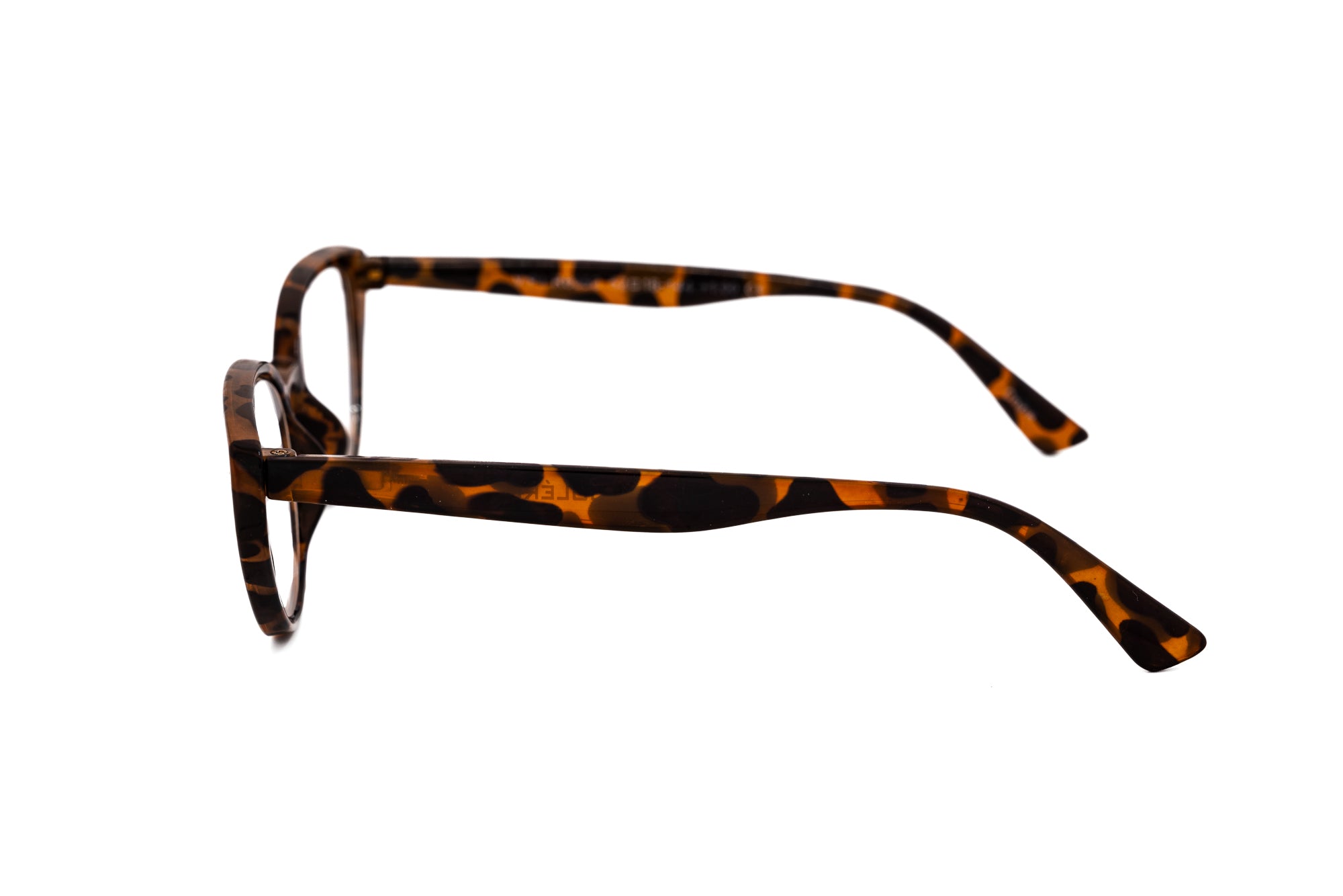 Tortoise Brown