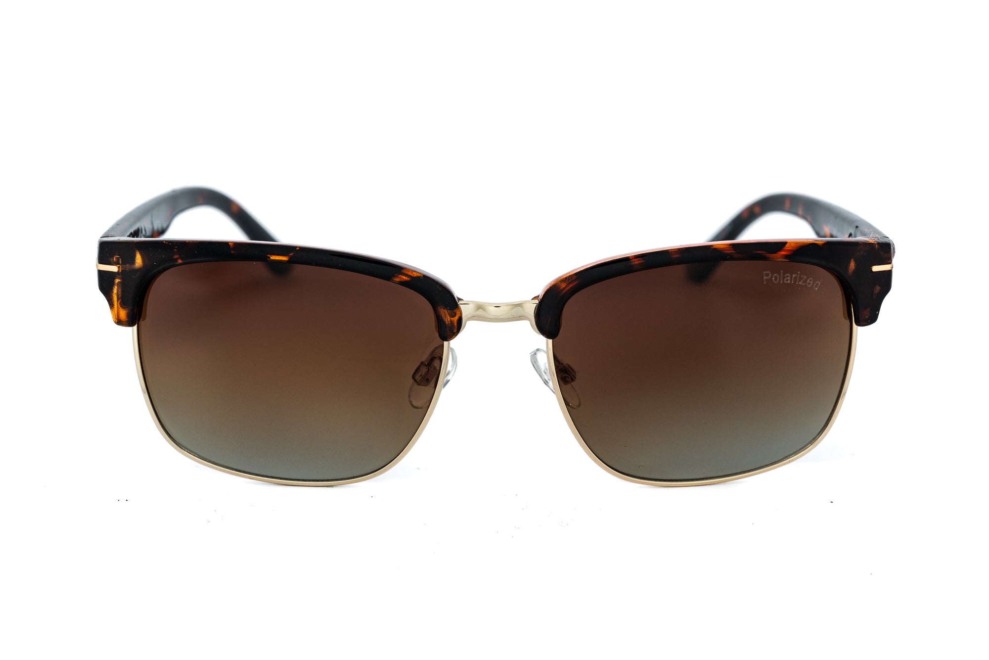 Polarized Tortoise / Brown
