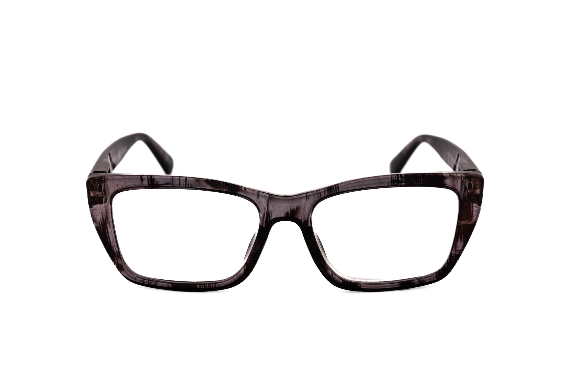 Brown Tortoise