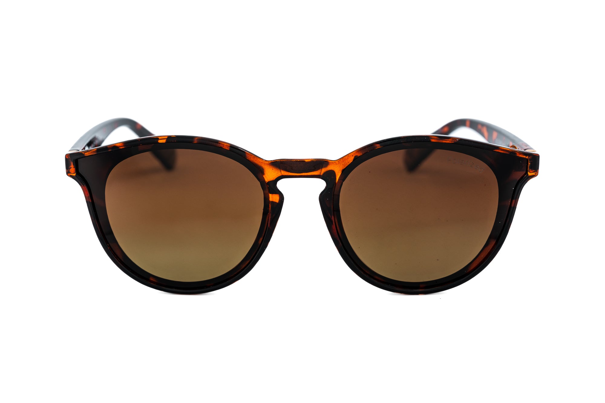 Tortoise / Brown
