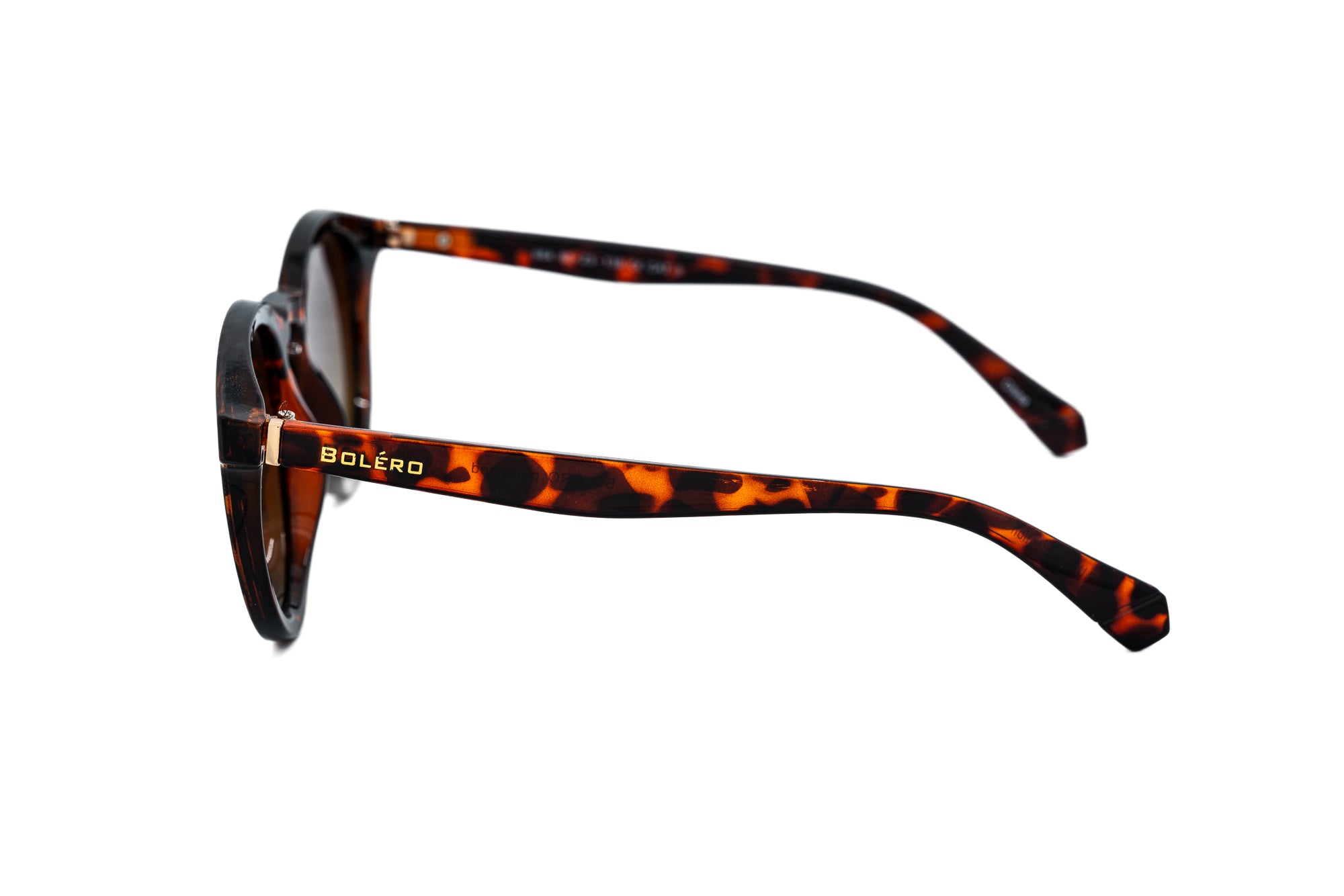 Tortoise / Brown