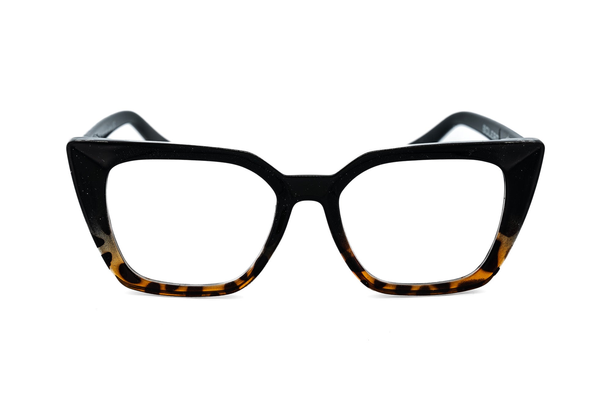 Black Tortoise