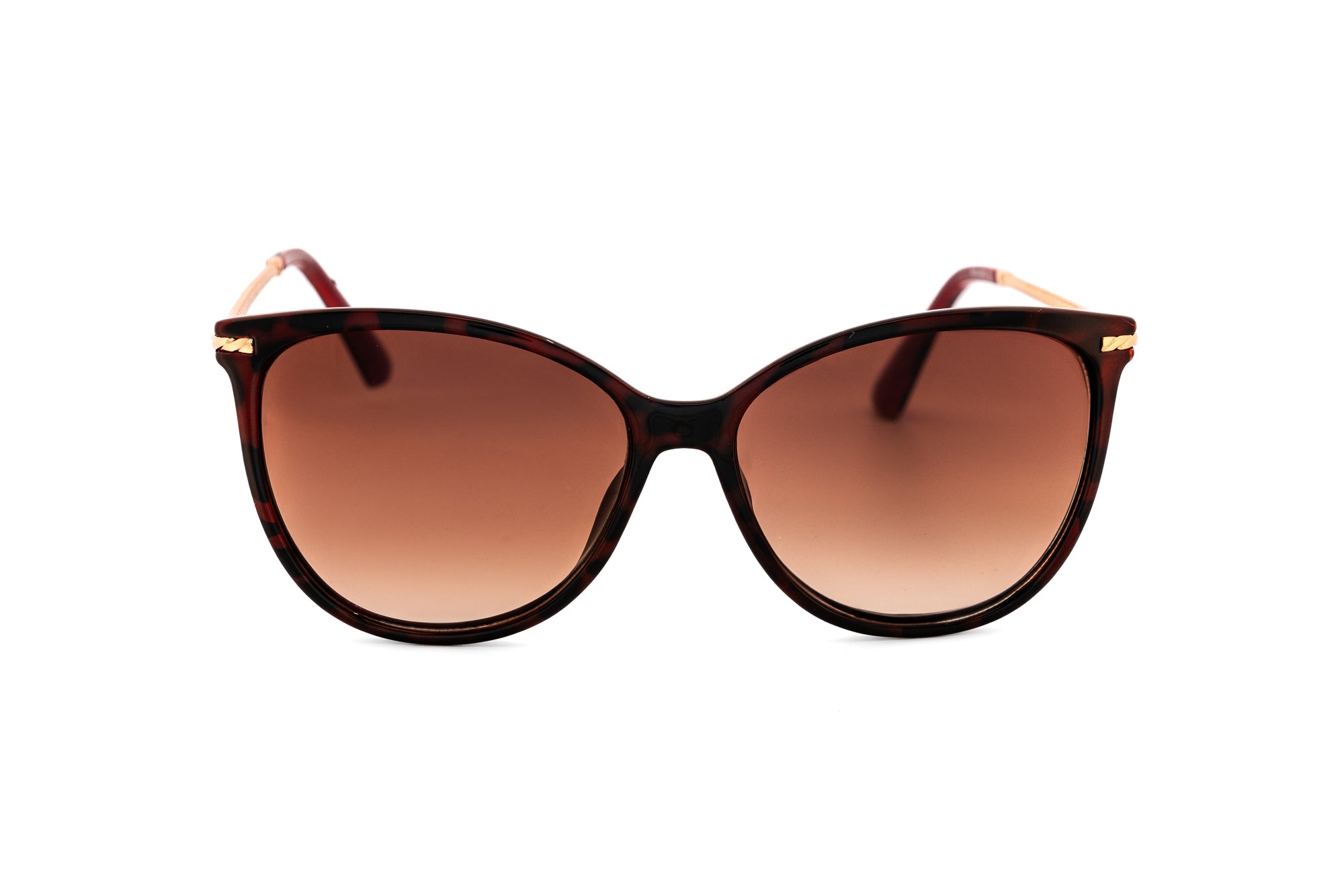 Tortoise / Brown