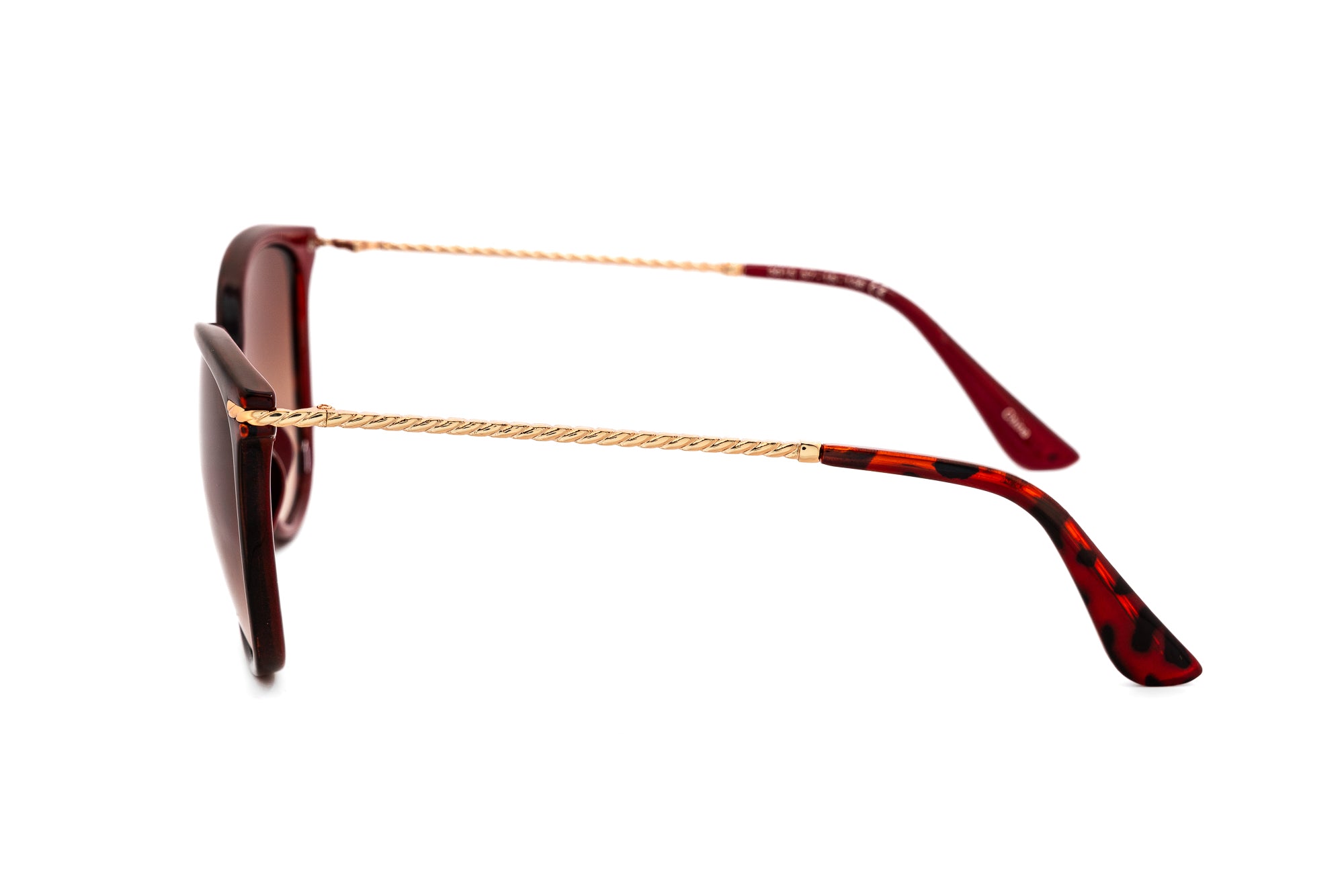 Tortoise / Brown