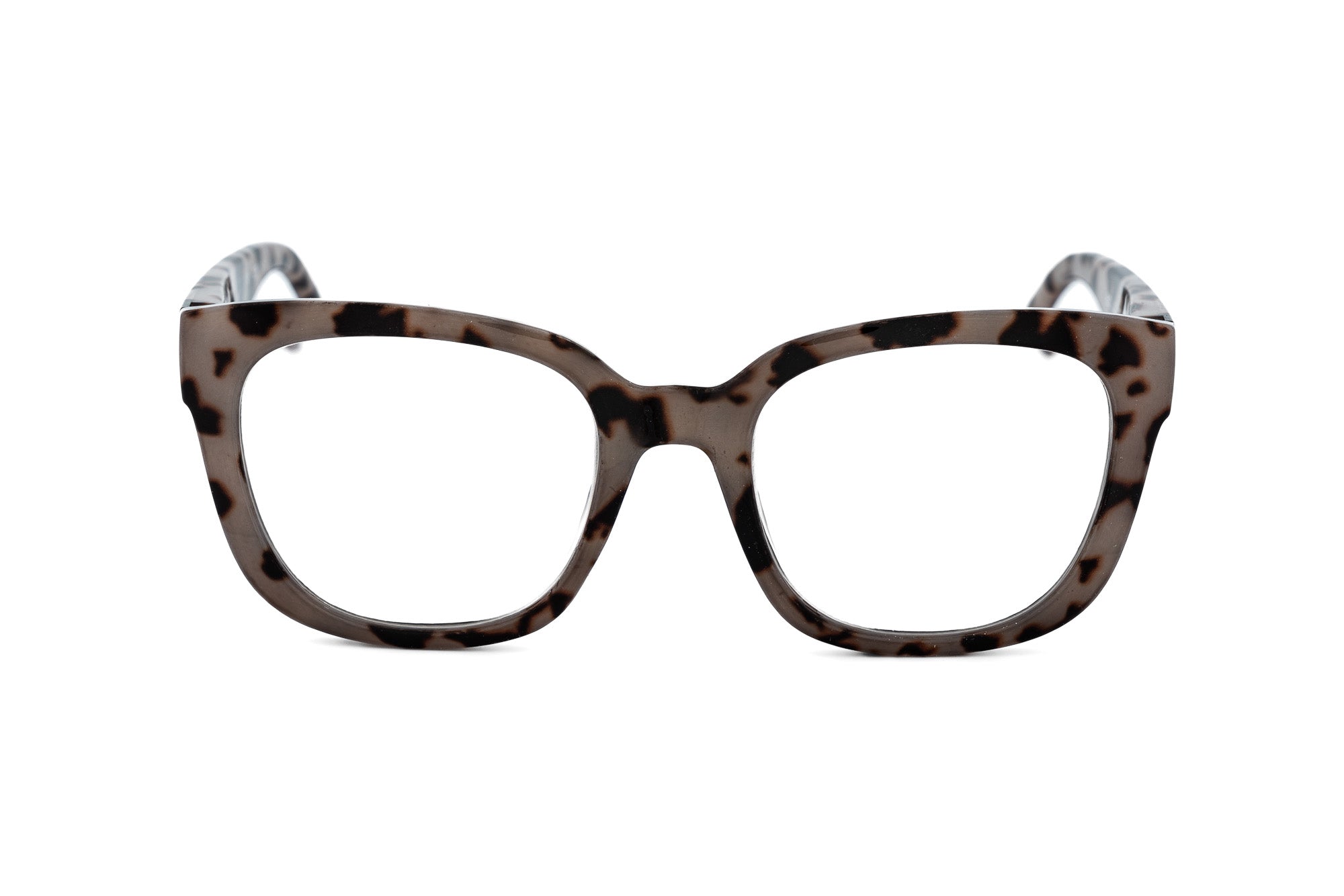 Brown Tortoise