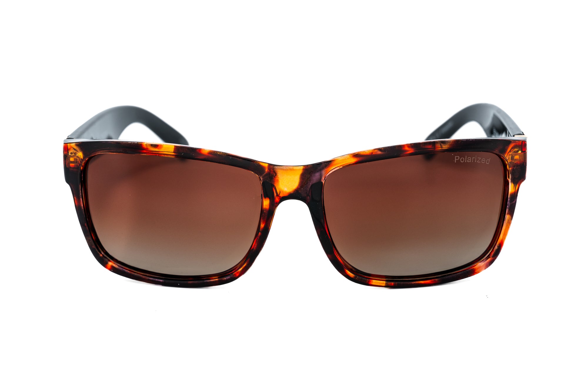 Tortoise / Brown
