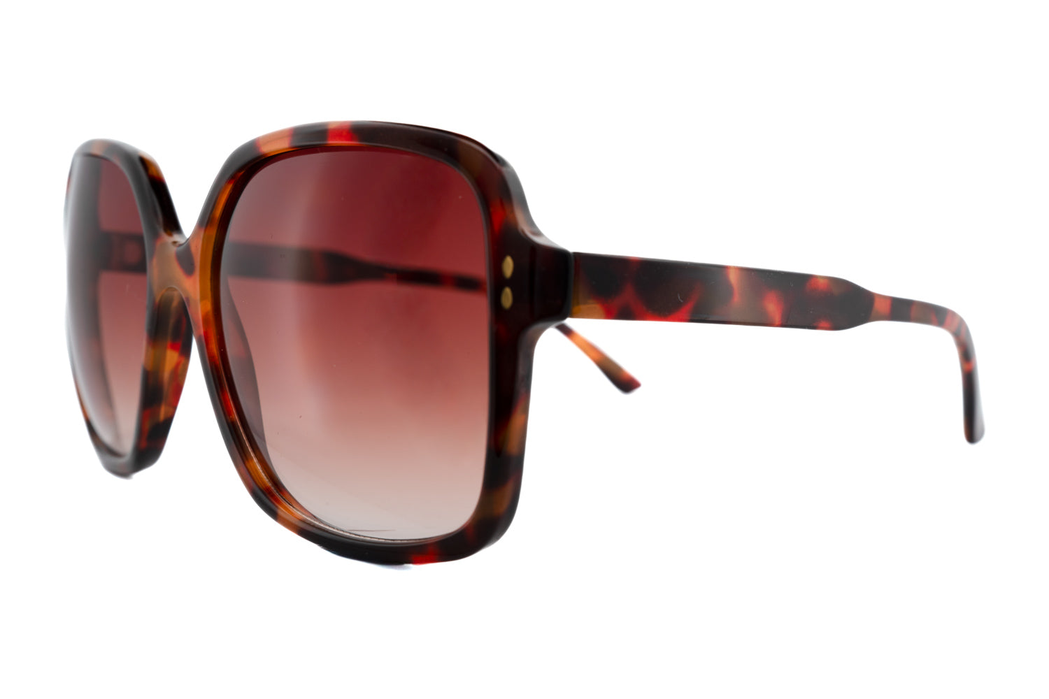 Tortoise / Black
