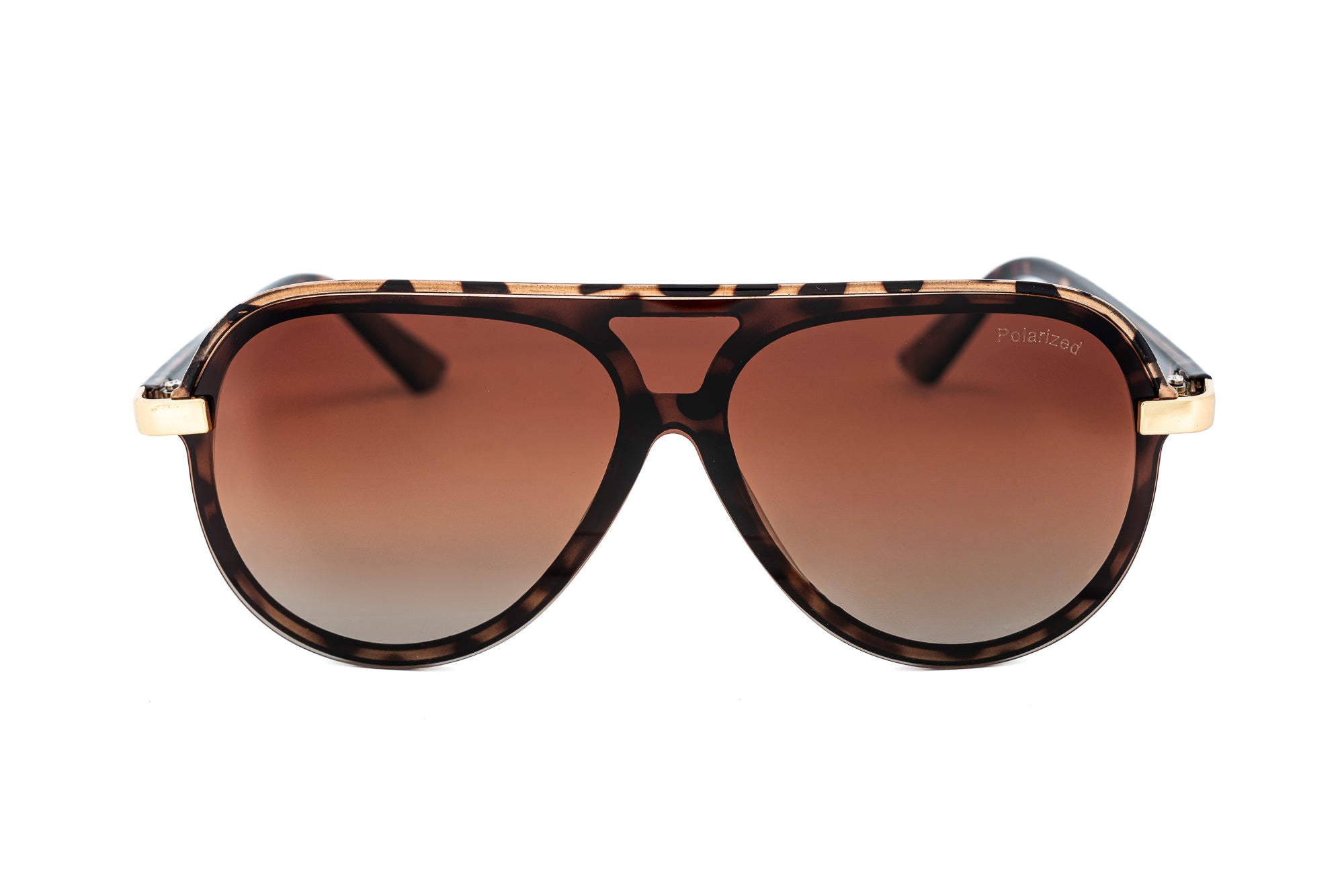 Tortoise / Brown