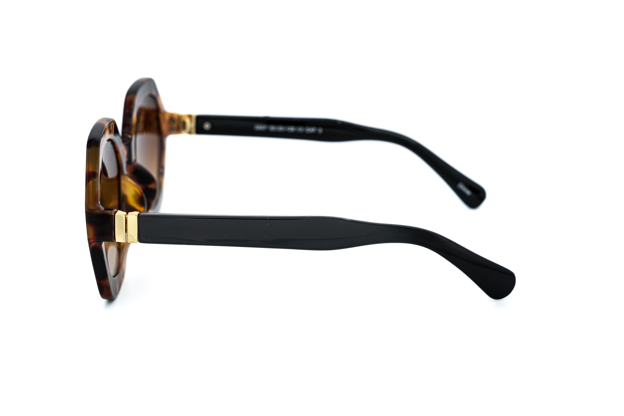 Tortoise / Brown