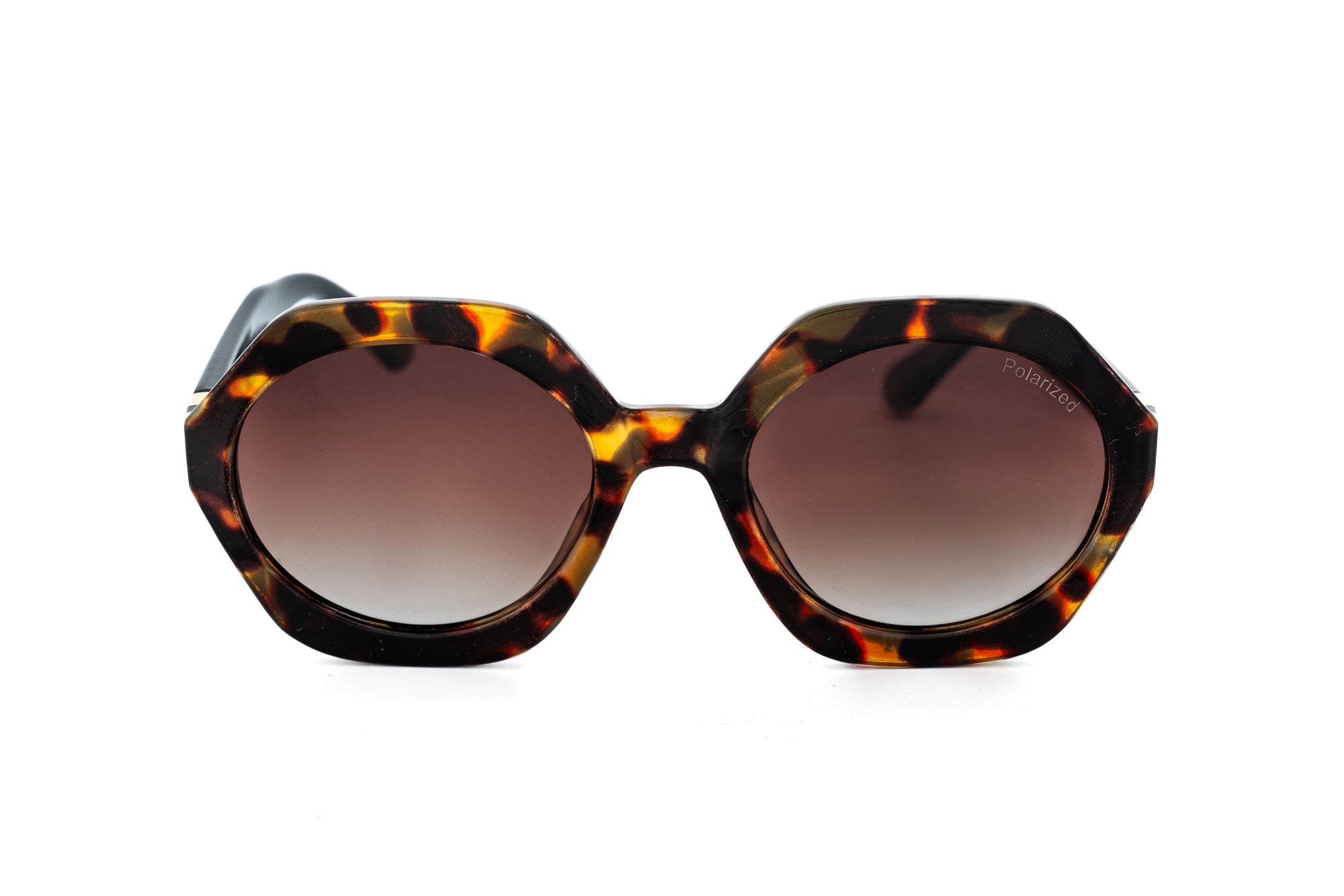 Polarized Tortoise / Brown